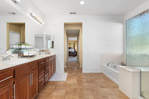 a view of a yard with a palm tree