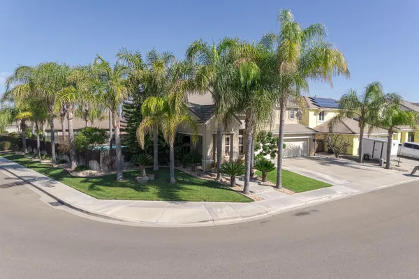 an aerial view of a house with a yard and a large tree