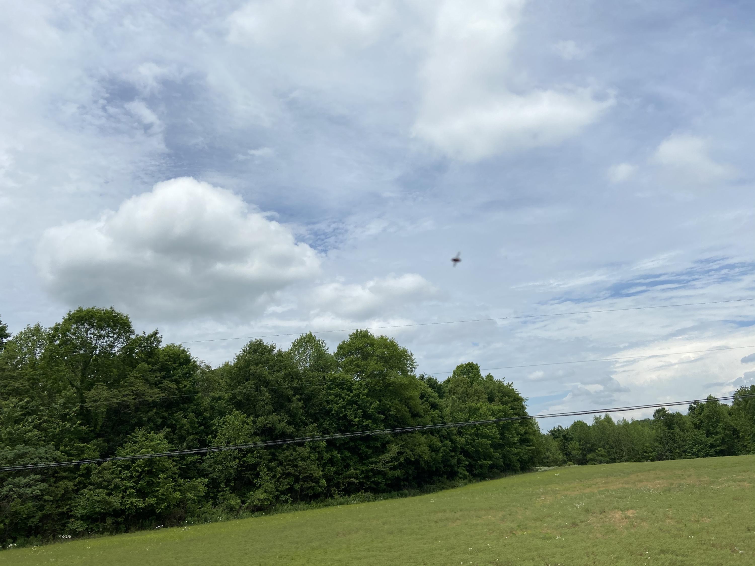 123 South Fork Ridge Road Liberty, KY 42539 - Photo 19 of 28 250311A7-3DFE-4613-8B2D-DFA3AE3478E1<|>P