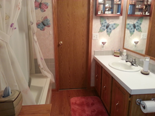 326 Maple Street Compton, IL 61318 - Photo 11 of 19 a bathroom with a sink a toilet and shower curtain