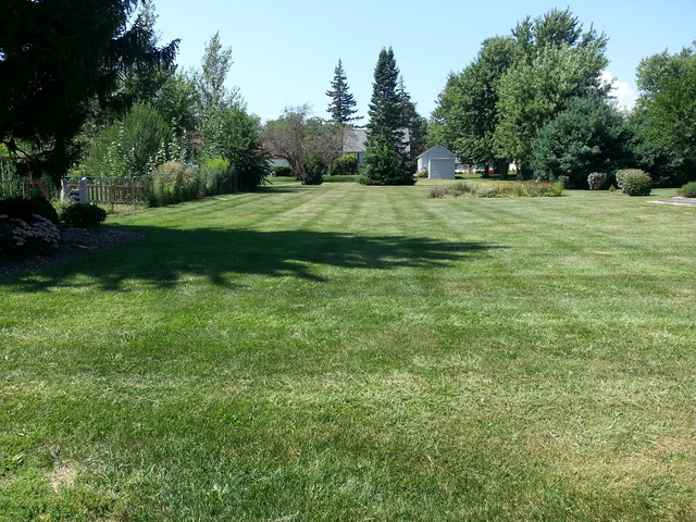 326 Maple Street Compton, IL 61318 - Photo 3 of 19 a view of a grassy field with trees