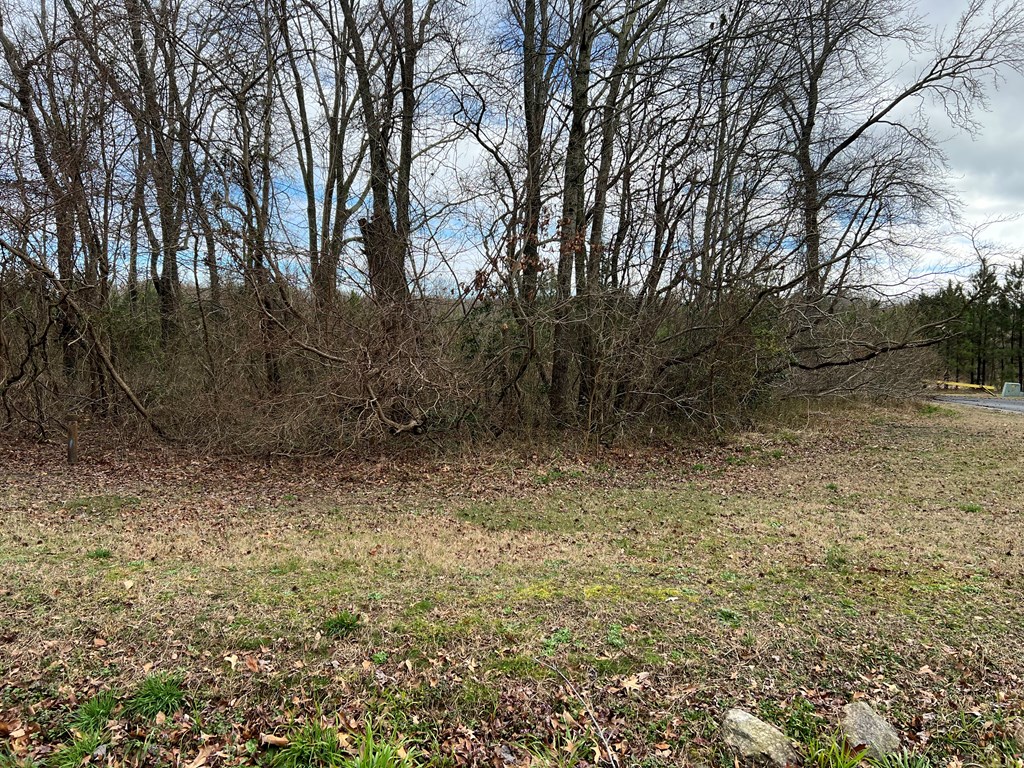 Lot 47 Stone Road, Unit 47 Cape Charles, VA 23310 - Photo 2 of 3