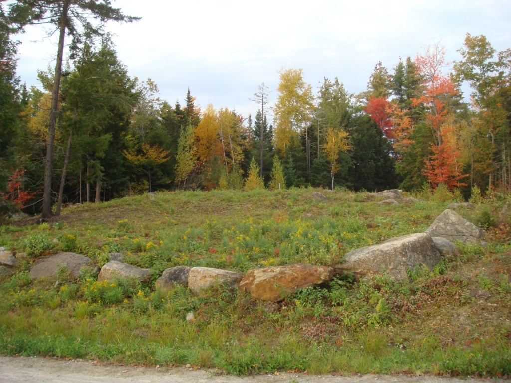 Lot 5 North Ridge Road Bradford, NH 03221 - Photo 2 of 16