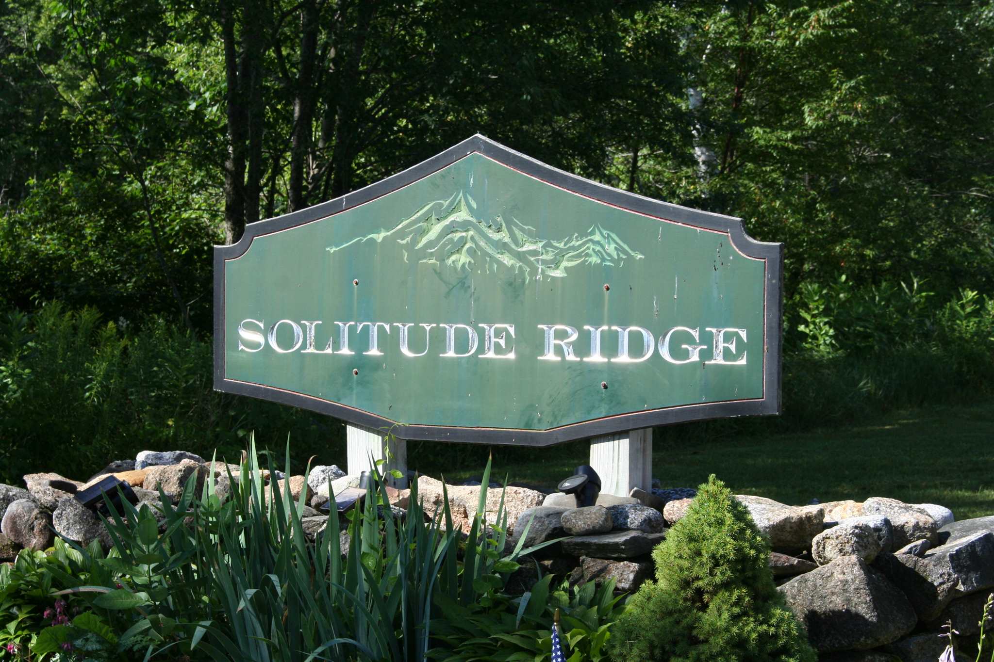 Lot 5 North Ridge Road Bradford, NH 03221 - Photo 15 of 16