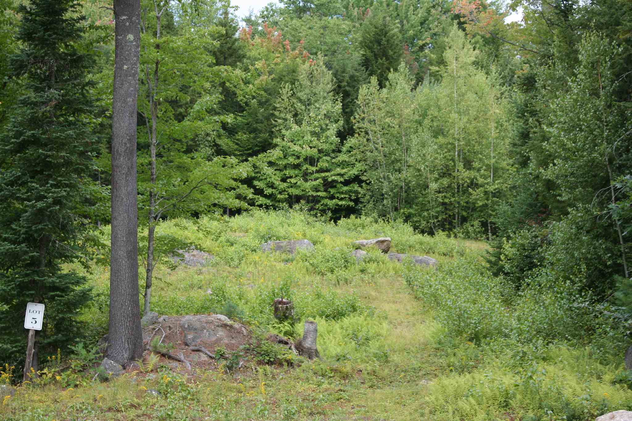 Lot 5 North Ridge Road Bradford, NH 03221 - Photo 4 of 16