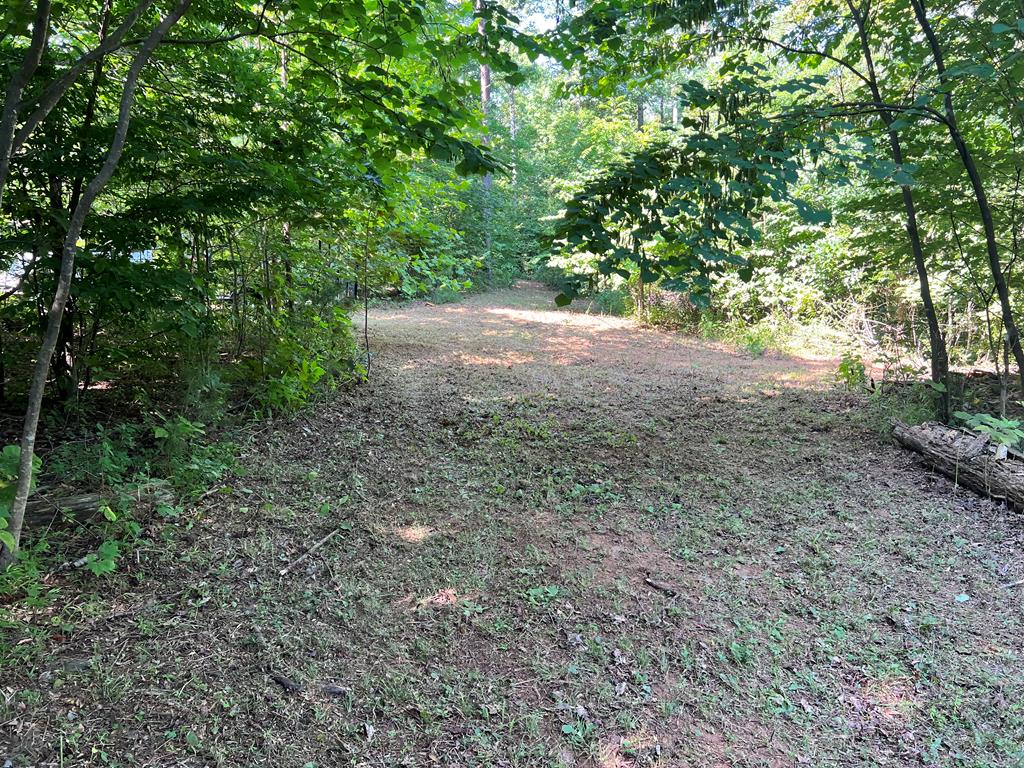 0 Puppy Creek Farm Road, Unit 22 Stuart, VA 24171 - Photo 5 of 28 Gallery Image 5