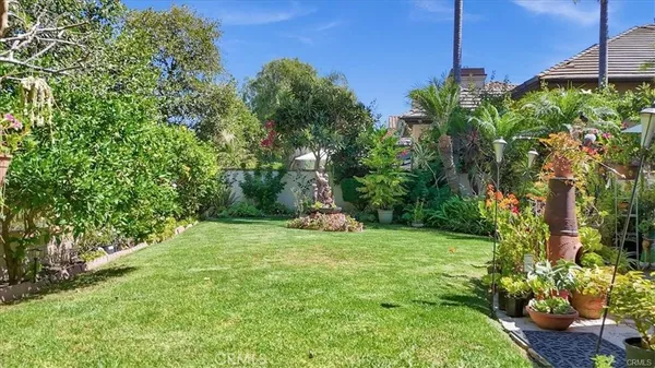 a view of a garden with a tree