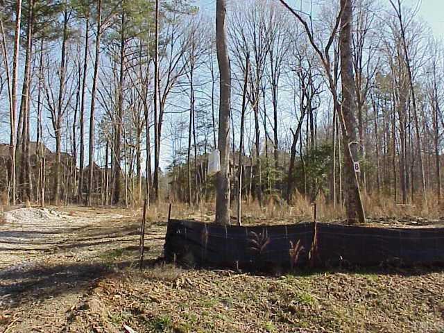 305 Bishop Falls Road, Unit 68 Wake Forest, NC 27587 - Photo 2 of 3 a view of tall trees