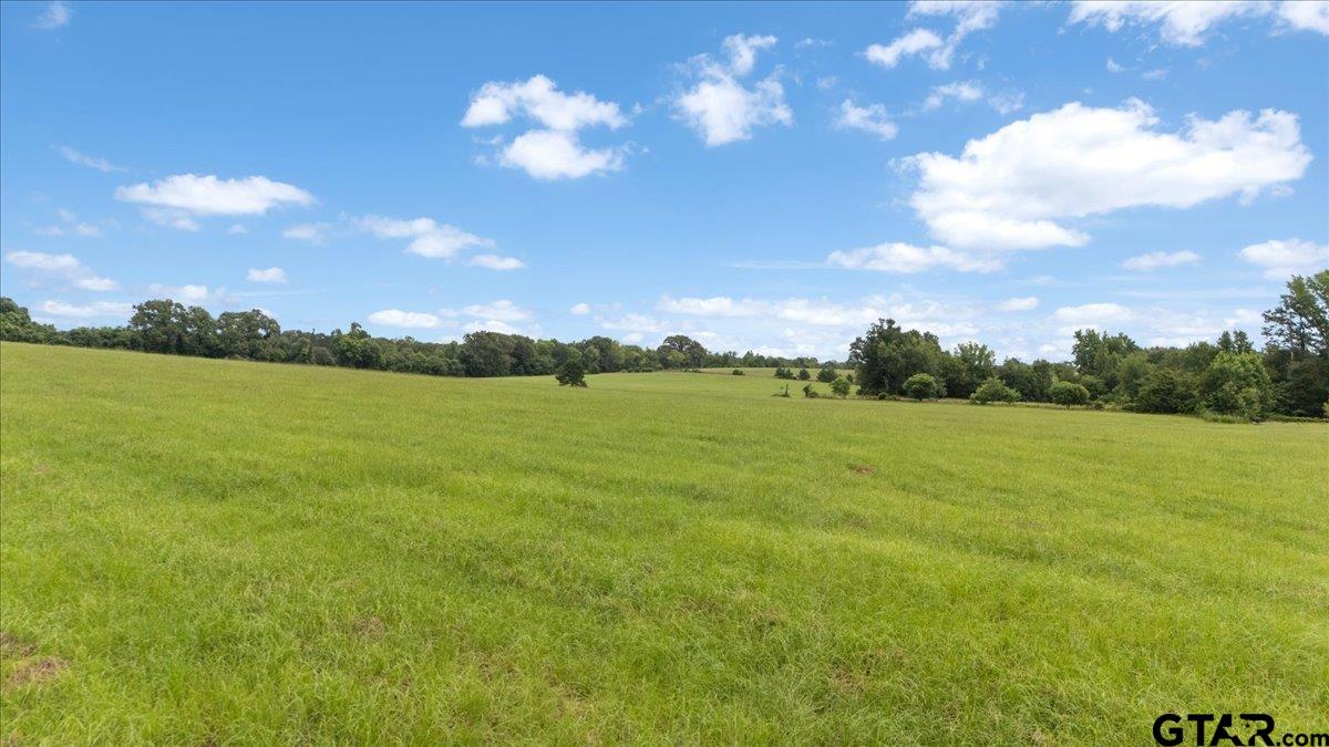 3989 Bob O Link Road Gilmer, TX 75645 - Photo 35 of 35
