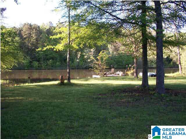 44 Shanghai Road Springville, AL 35146 - Photo 28 of 30