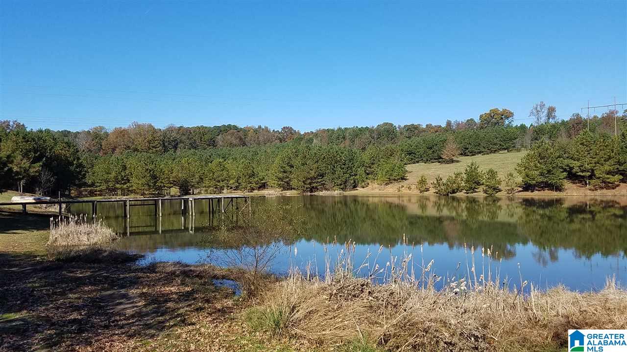 298 Bowerman Road Blountsville, AL 35031 - Photo 27 of 30