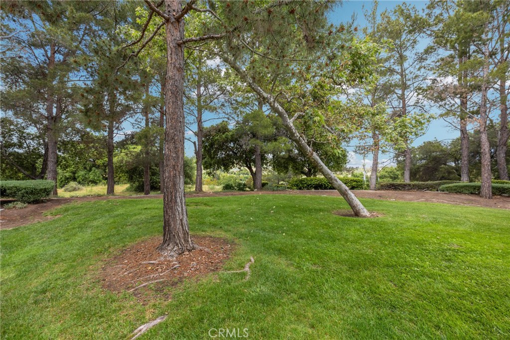 27 Timbre Rancho Santa Margarita, CA 92688 - Photo 43 of 48