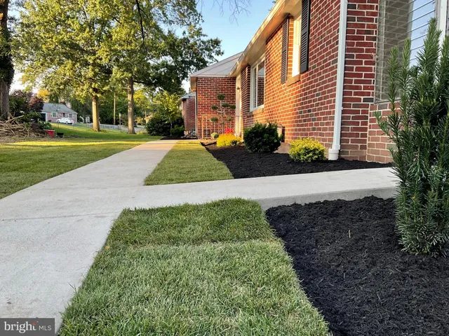 a view of a garden with pathway