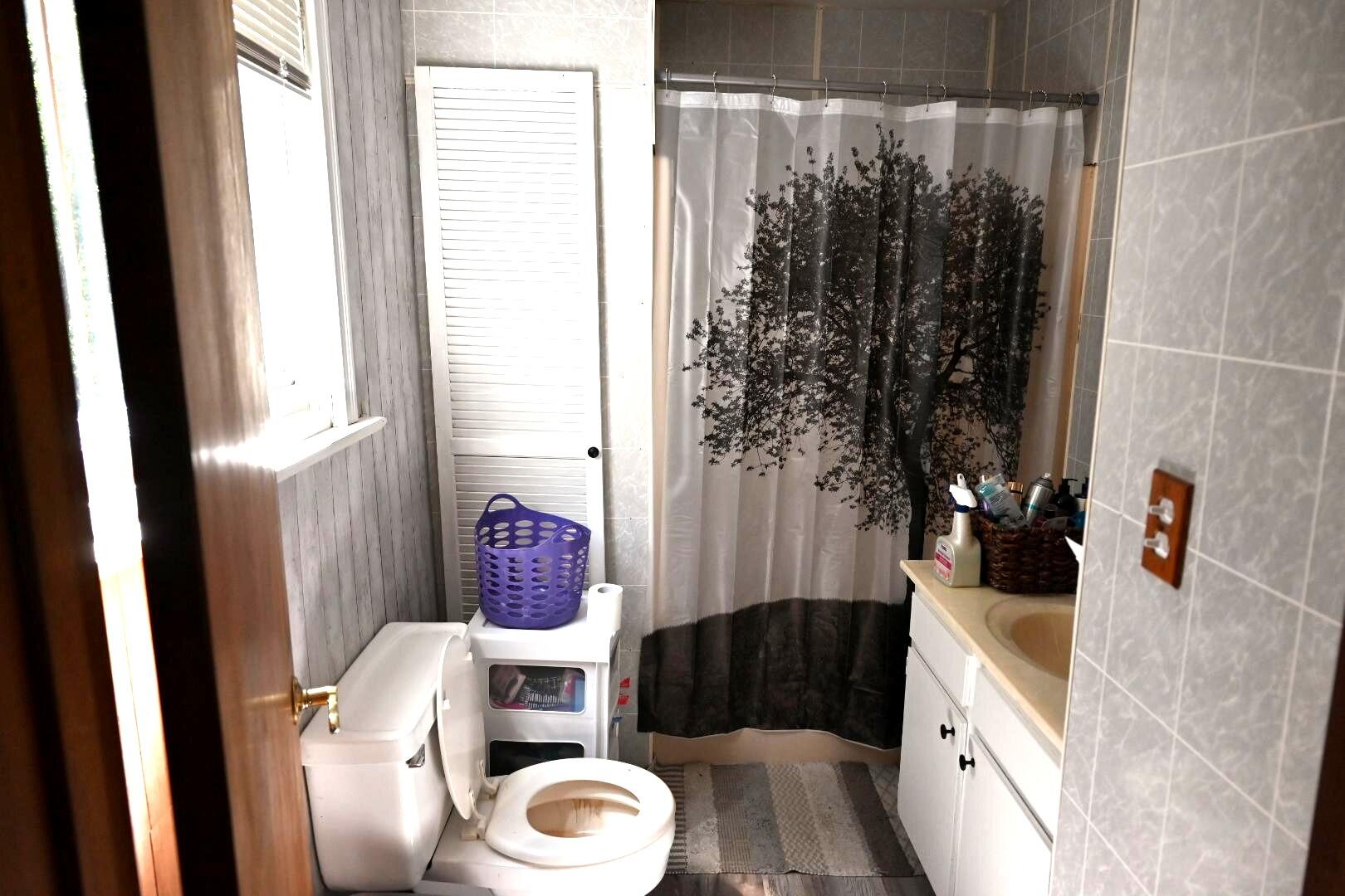 20495 West Cupp Road Elsie, MI 48831 - Photo 17 of 62 master bath