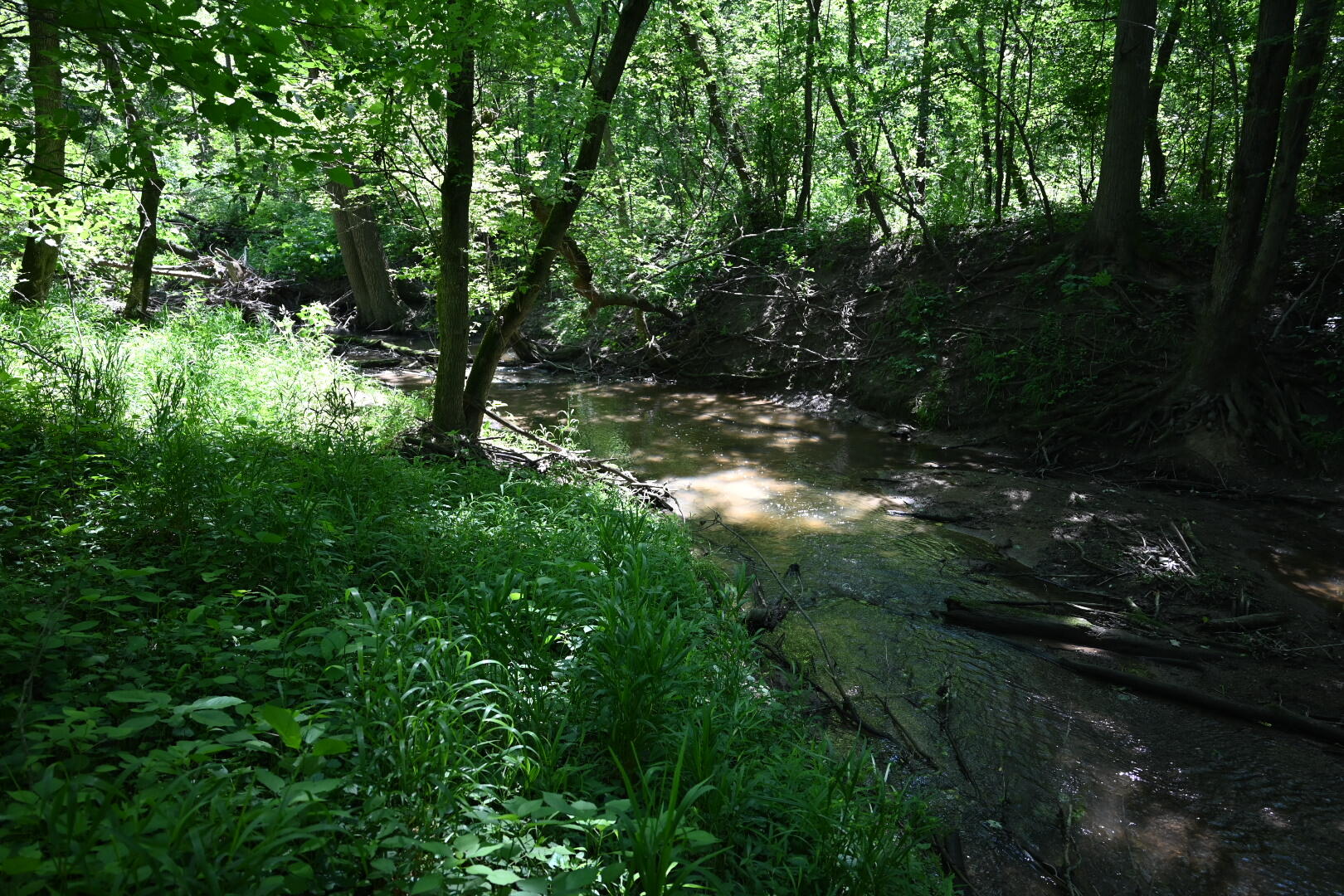 20495 West Cupp Road Elsie, MI 48831 - Photo 39 of 62 bad river