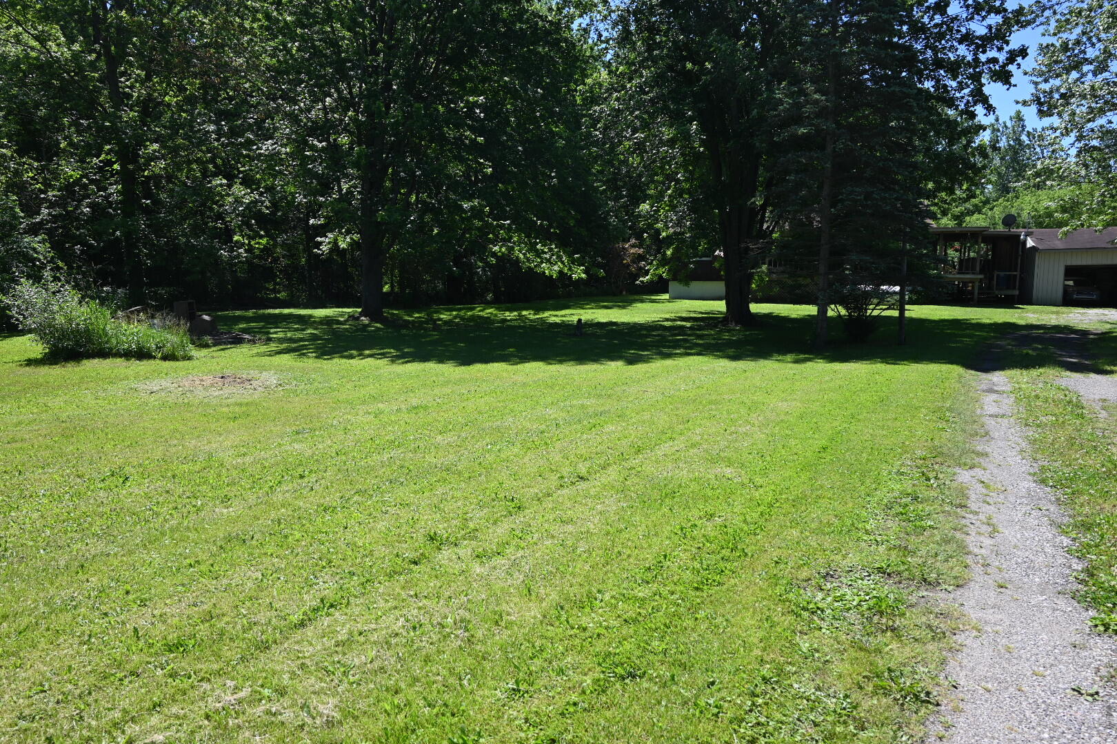 20495 West Cupp Road Elsie, MI 48831 - Photo 47 of 62 DSC_0346 (1)