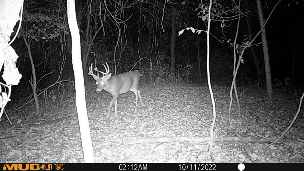 20495 West Cupp Road Elsie, MI 48831 - Photo 50 of 62 imagejpeg_0
