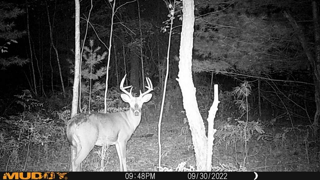 20495 West Cupp Road Elsie, MI 48831 - Photo 53 of 62 imagejpeg_1