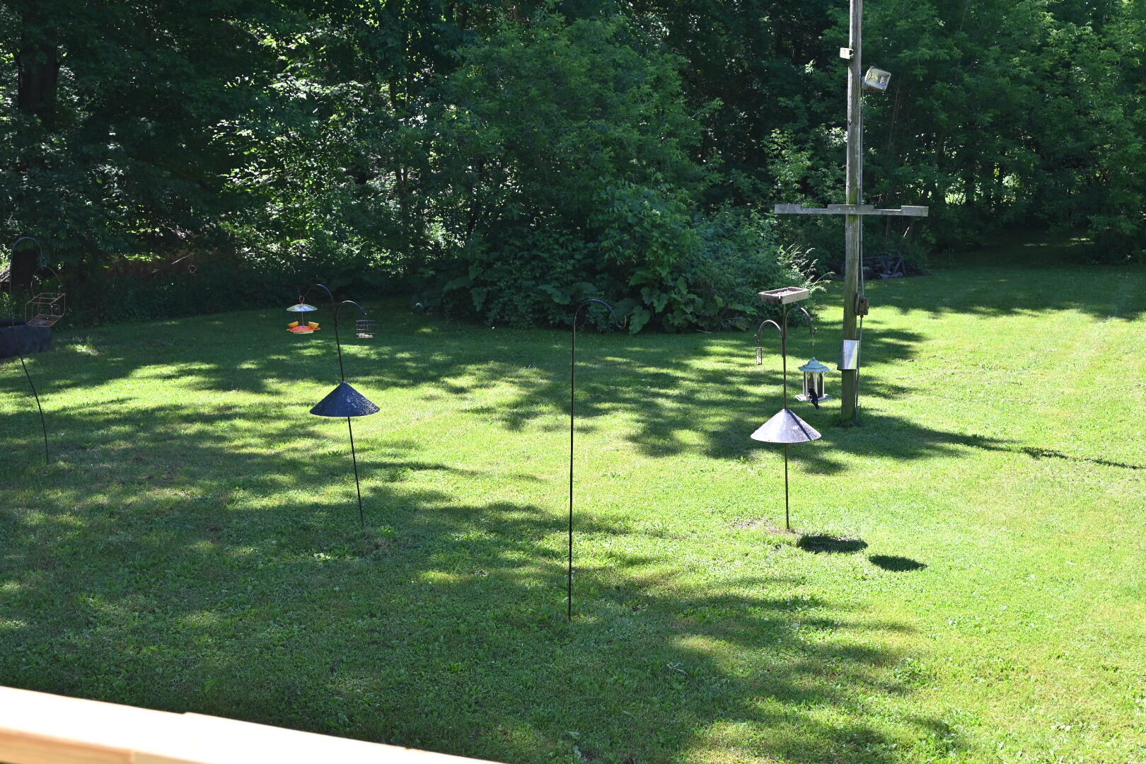20495 West Cupp Road Elsie, MI 48831 - Photo 7 of 62 back yard