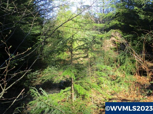 0 Southeast Harvey Road Sandy, OR 97055 - Photo 6 of 11