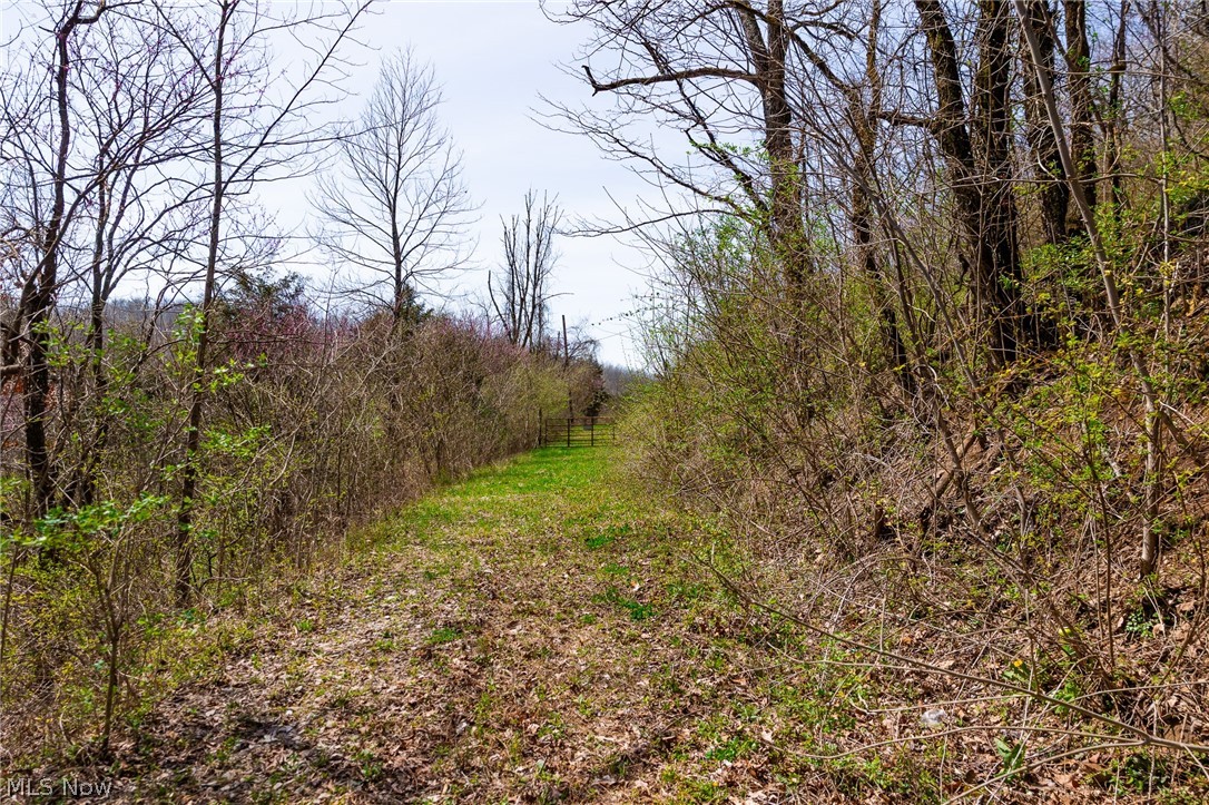 East Branch Road Lowell, OH 45744 - Photo 23 of 29