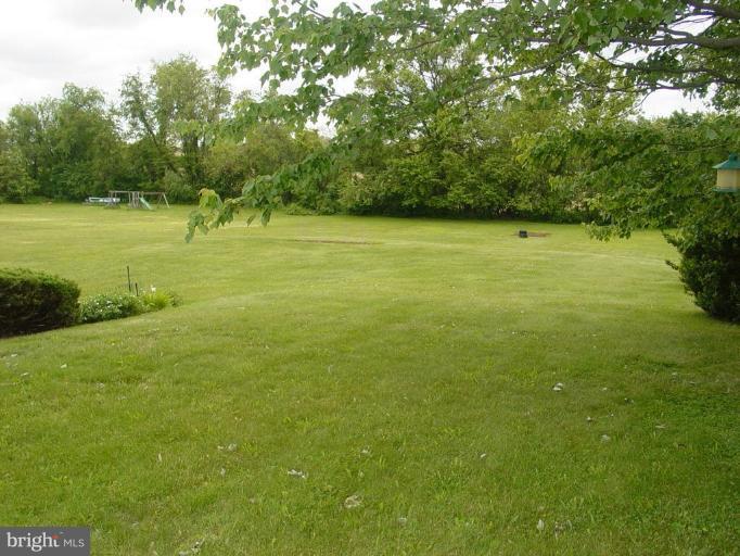 Back yard