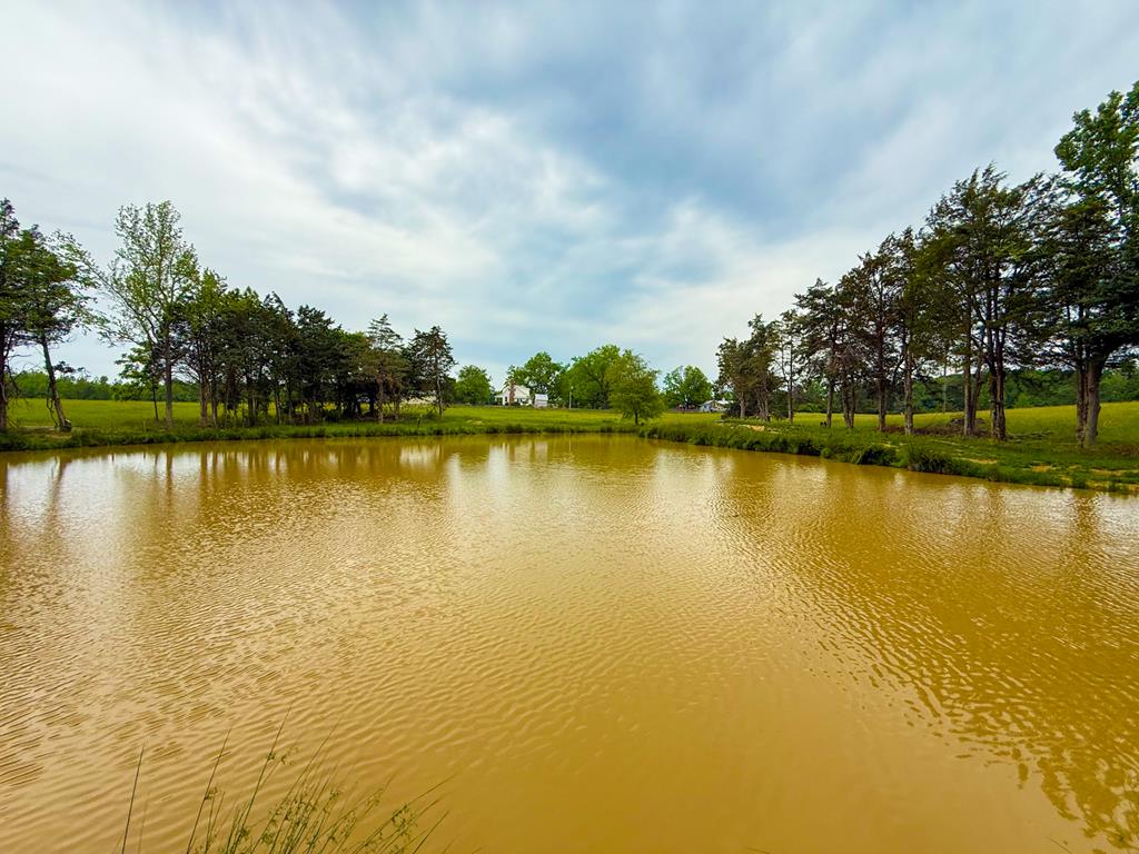 8820 Nutbush Road Green Bay, VA 23942 - Photo 39 of 70 Gallery Image 39