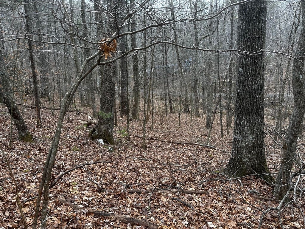 Tbd Laurel Fork Road Dugspur, VA 24325 - Photo 12 of 12 Gallery Image 12