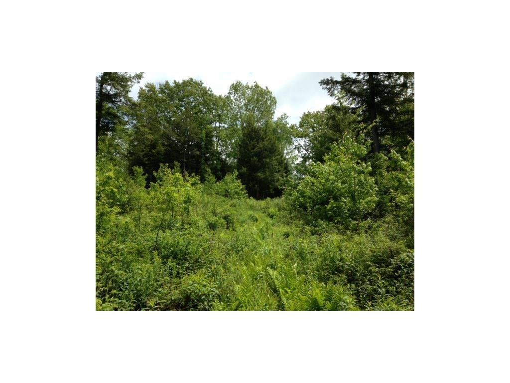 Lot 9 Old Stage Road Woolwich, ME 04579 - Photo 6 of 13 Photo