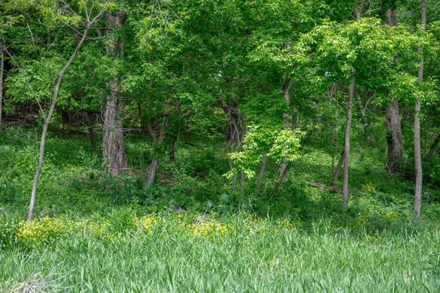 $125,000 | 7.77-acres West Redstone Drive, La Valle, WI 53941