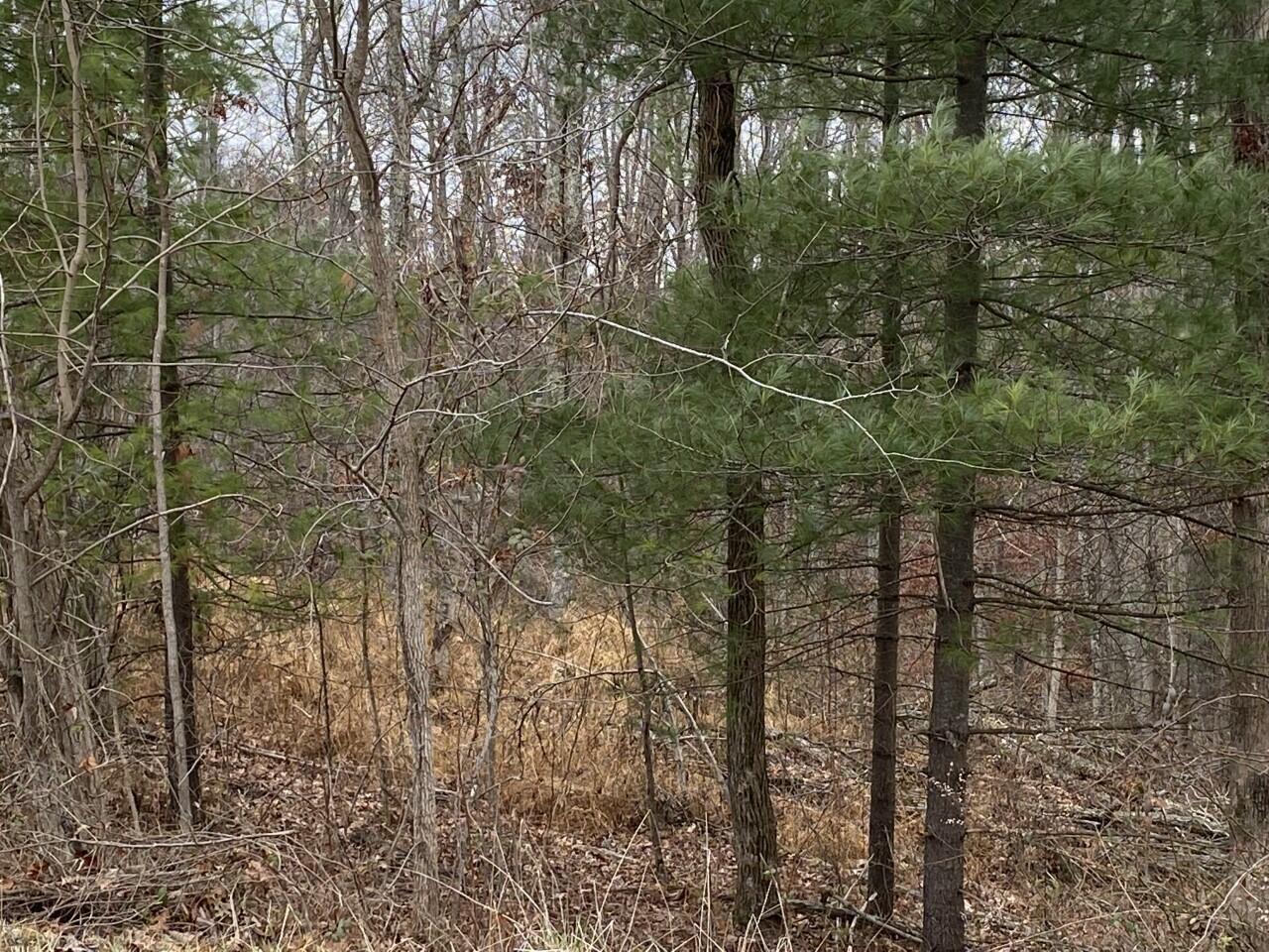 0 Spencer Road Ray, OH 45672 - Photo 9 of 19 2