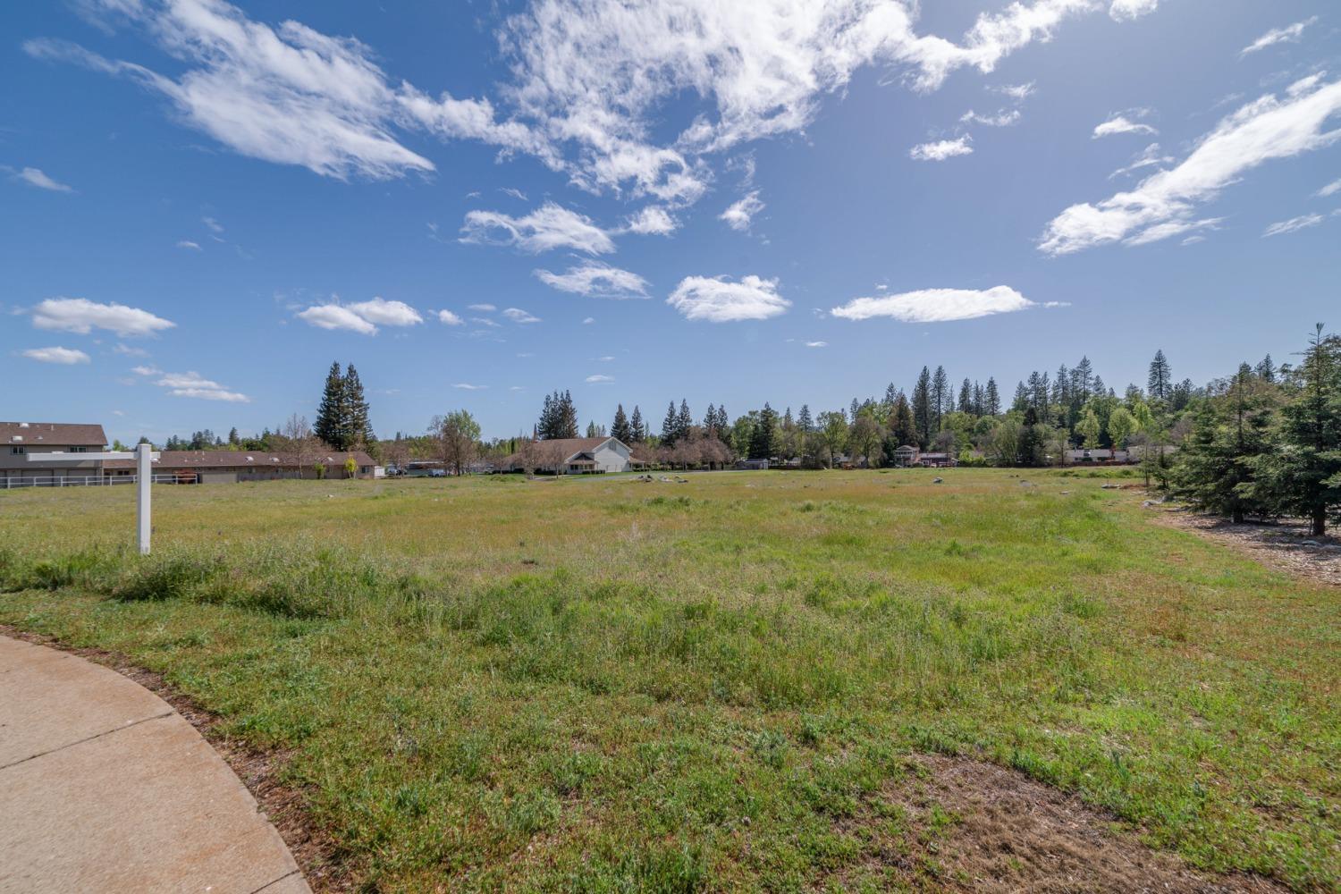 566 Friendly Court Murphys, CA 95247 - Photo 4 of 9 a view of a big yard with table and chairs