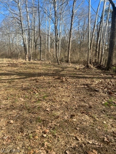 0 Buckner Bend Road Walker, WV 26180 - Photo 5 of 13