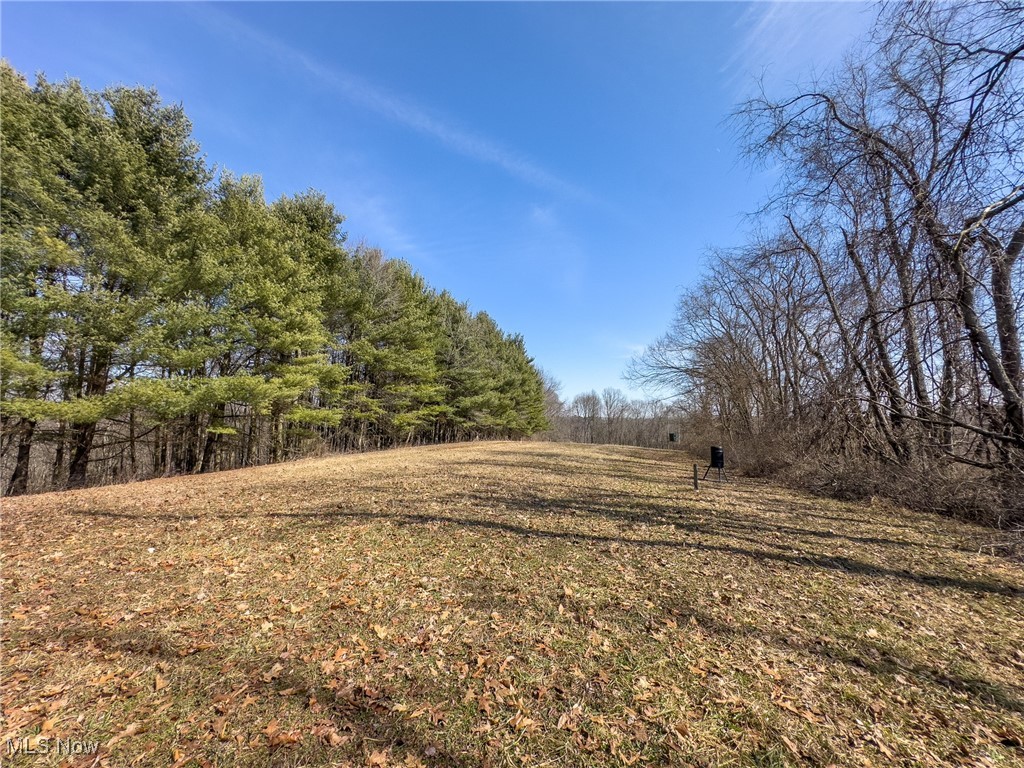 0 Bower Road Scio, OH 43988 - Photo 35 of 42