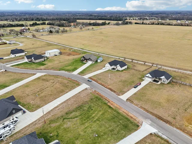 $530,000 | 163 Honeybee Drive, Unionville, TN 37180