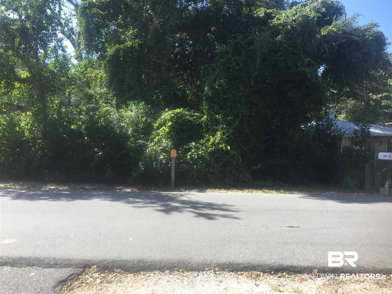 Wolfhead Avenue Orange Beach, AL 36561 - Photo 1 of 1
