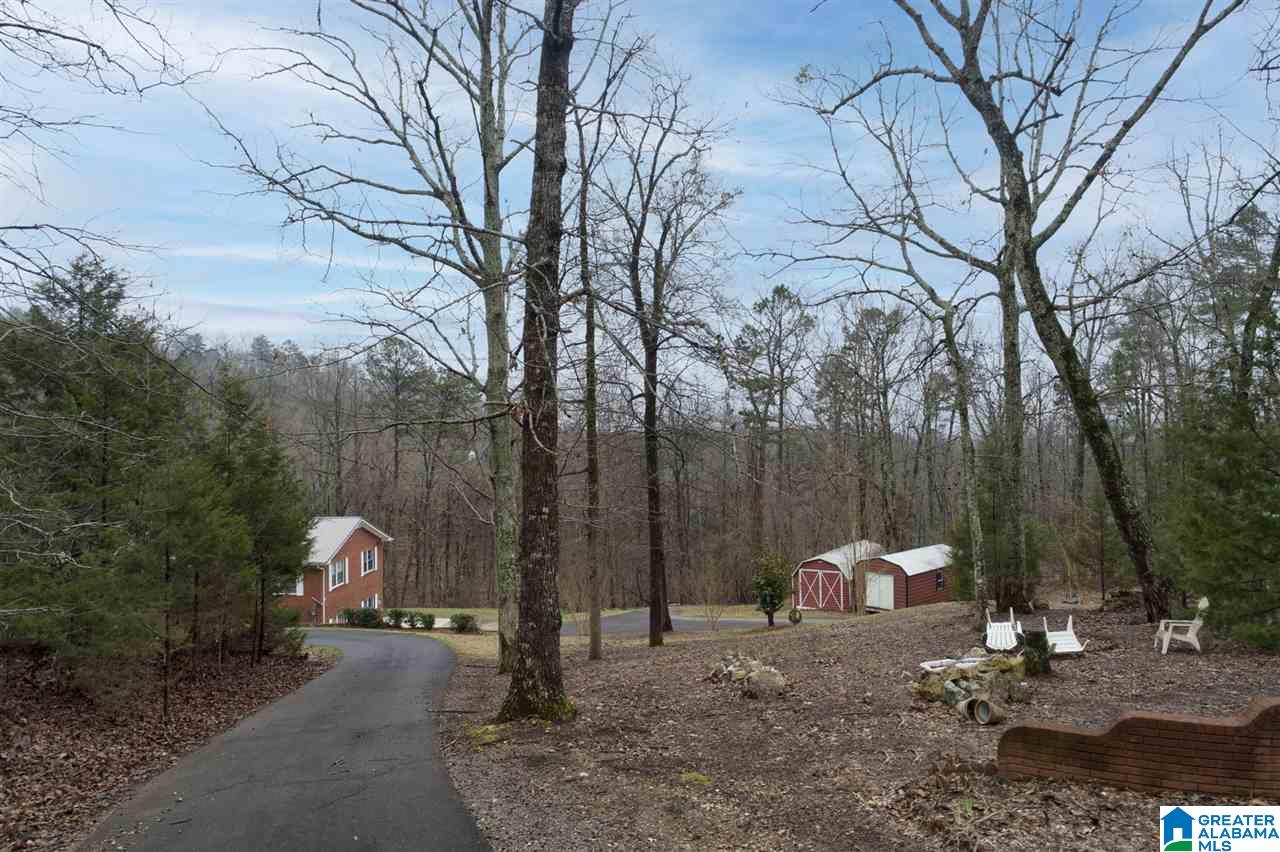 896 Cedar Cliff Road Springville, AL 35146 - Photo 3 of 45