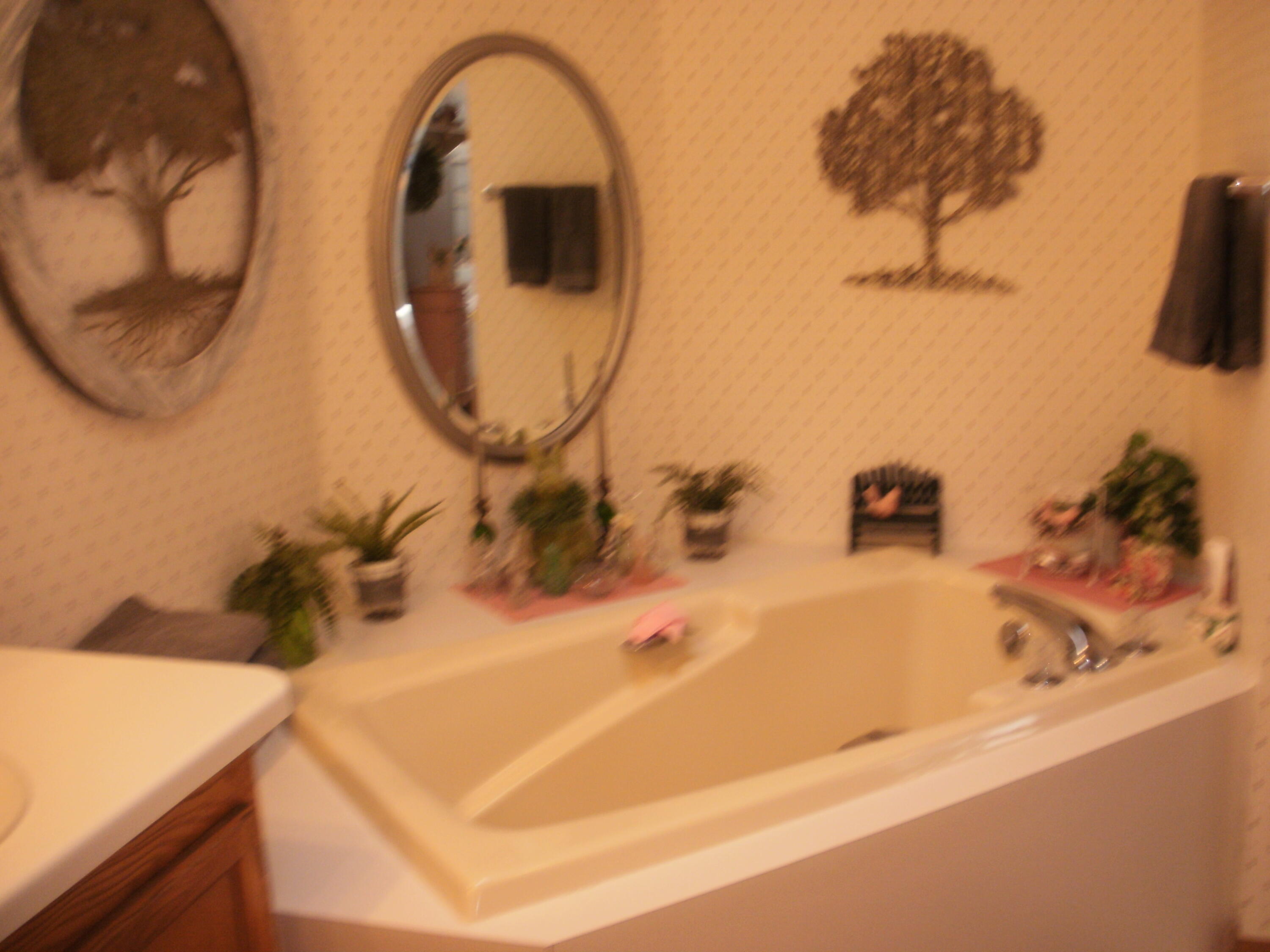 3765 Highway 33 Cheboygan, MI 49721 - Photo 46 of 99 Gallery Image 46