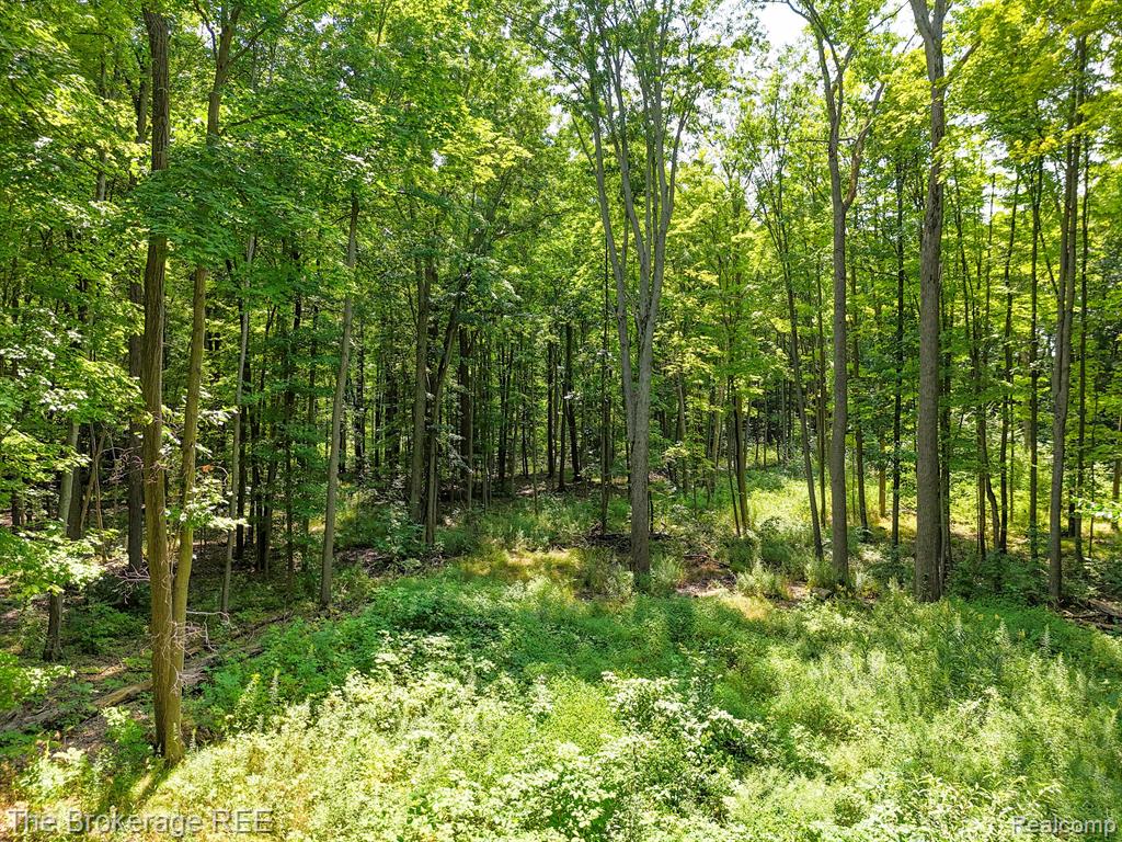Vl Stump Road Lapeer, MI 48446 - Photo 1 of 12 Gallery Image 1