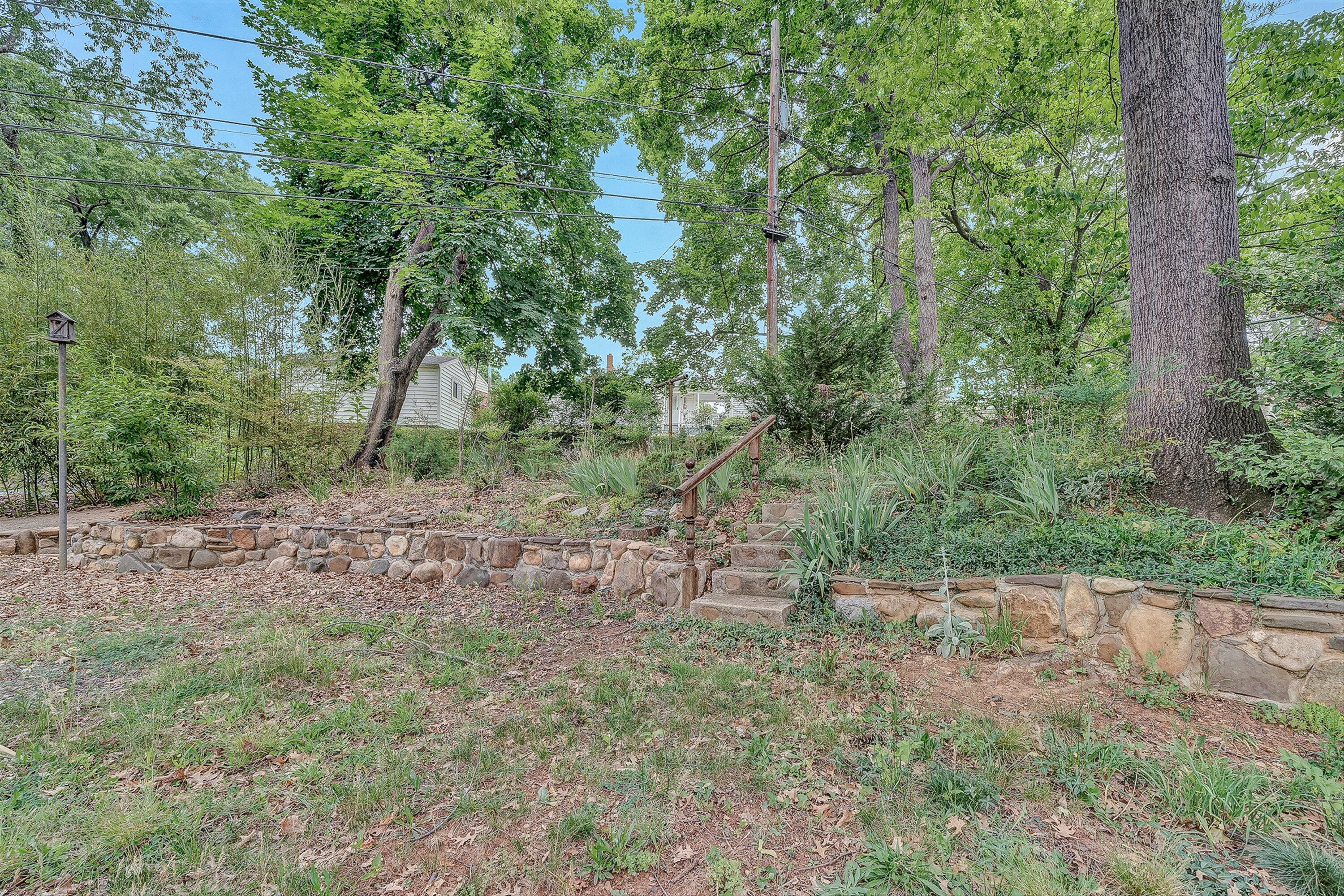 1917 Langdon Road Southwest Roanoke, VA 24015 - Photo 39 of 42 a view of a forest with trees