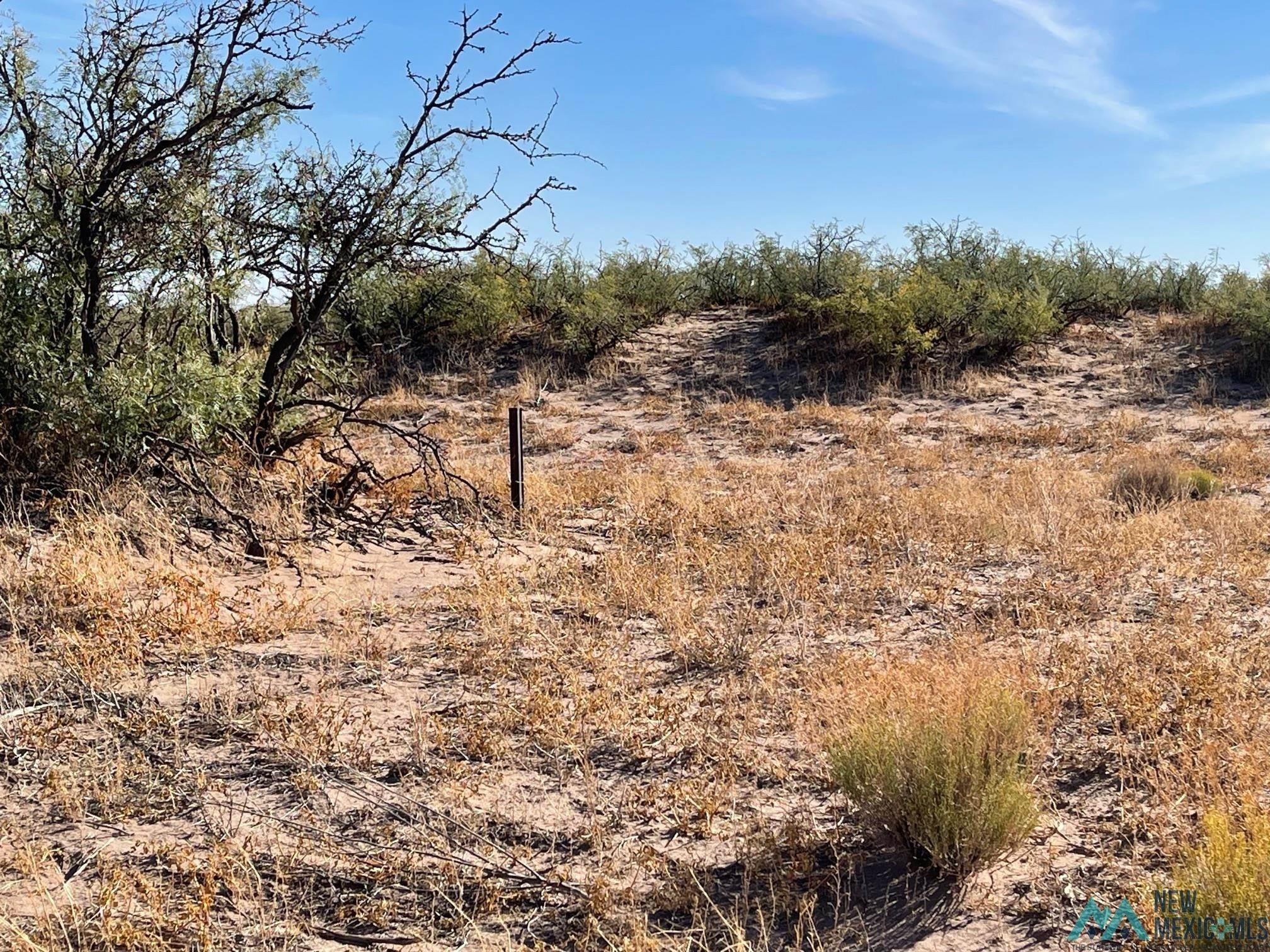 Acequia Road Southwest Deming, NM 88030 - Photo 1 of 1 Gallery Image 1