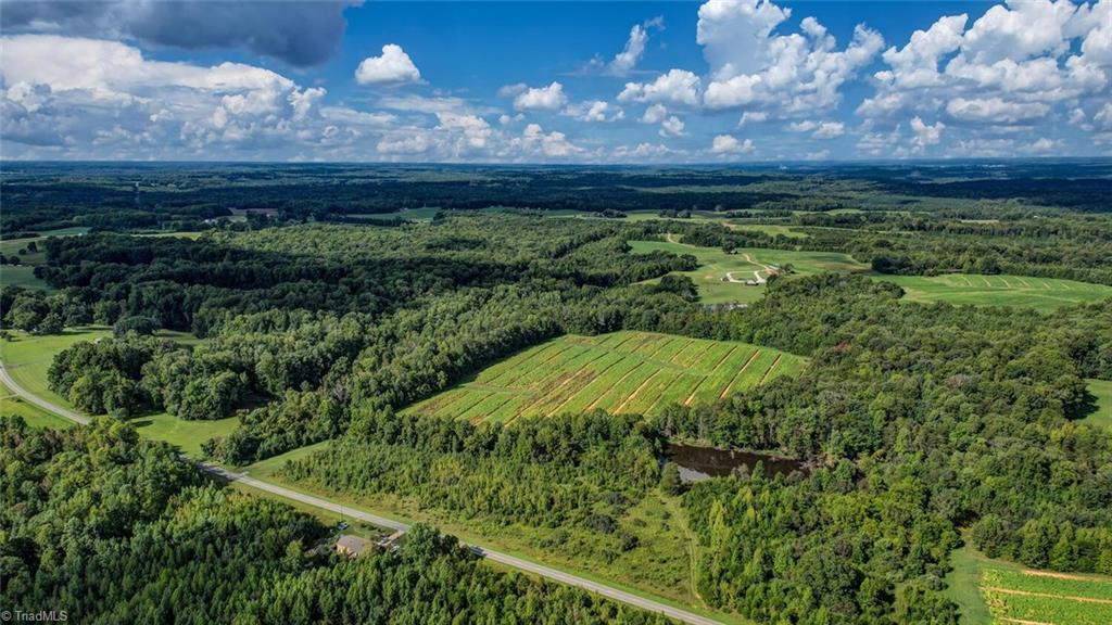 550 Goose Pond Road Ruffin, NC 27326 - Photo 5 of 6