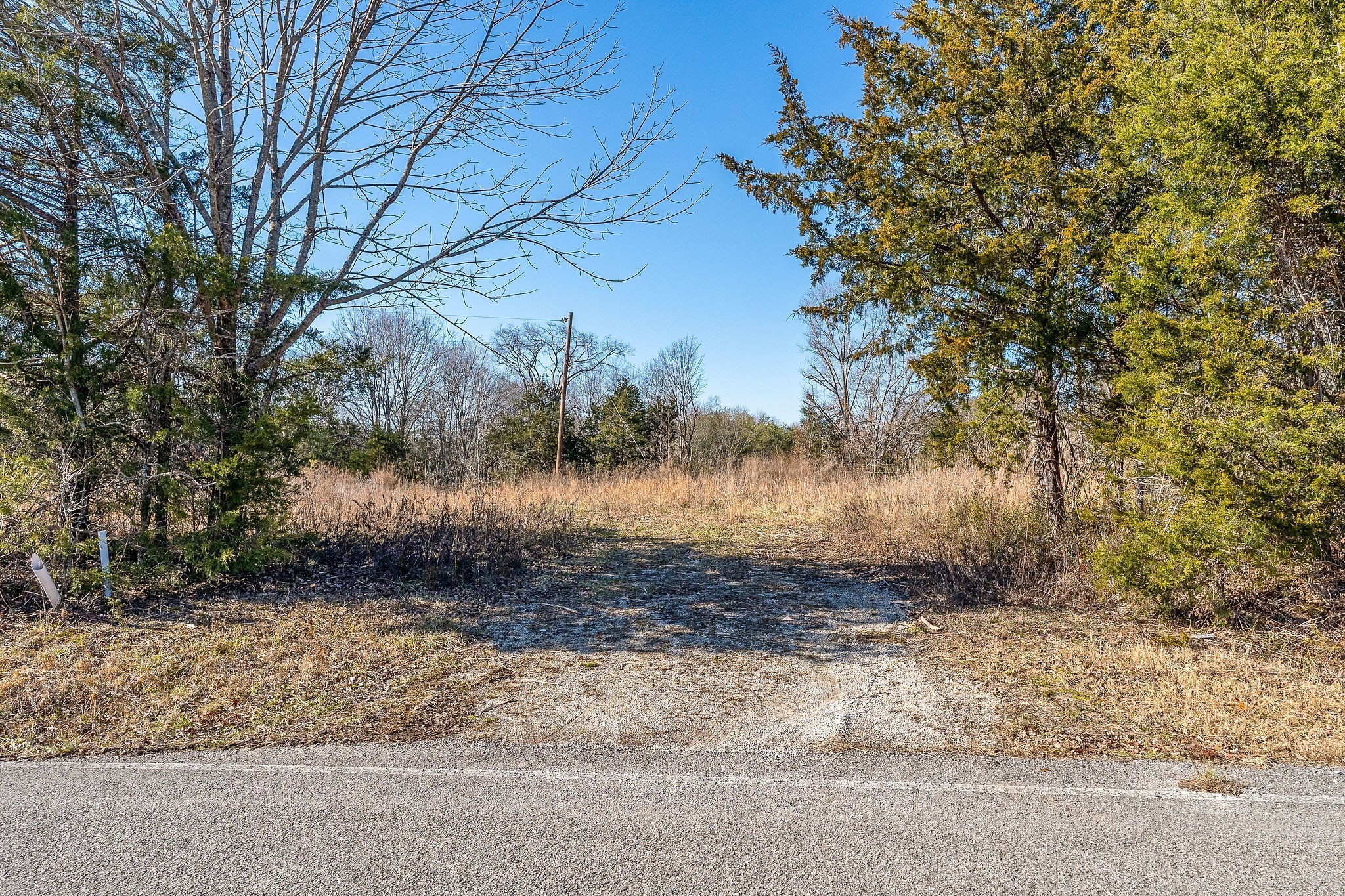 1885 Griffintown Road Sparta, TN 38583 - Photo 12 of 13 a view of a yard