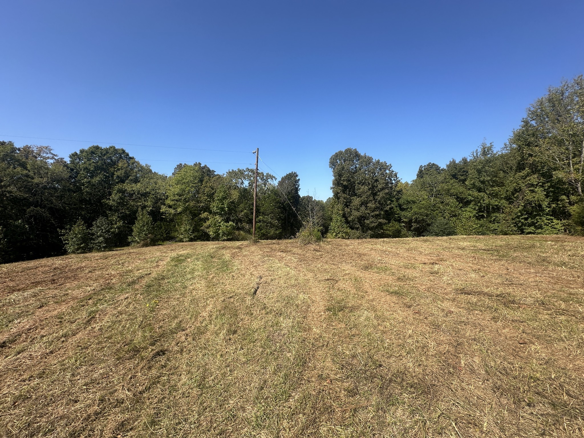 1885 Griffintown Road Sparta, TN 38583 - Photo 4 of 13 a view of a dry yard with trees in the background