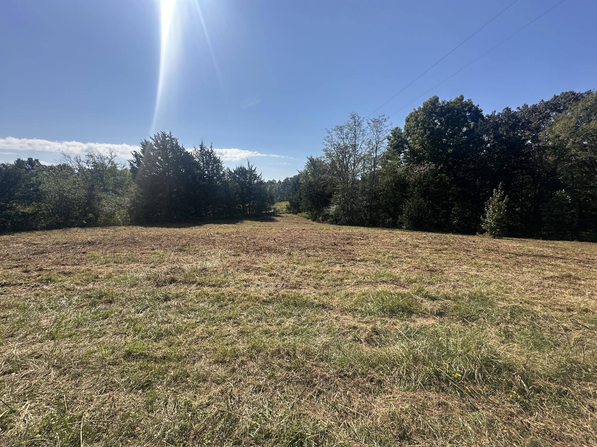 1885 Griffintown Road Sparta, TN 38583 - Photo 6 of 13 a view of wall with green space