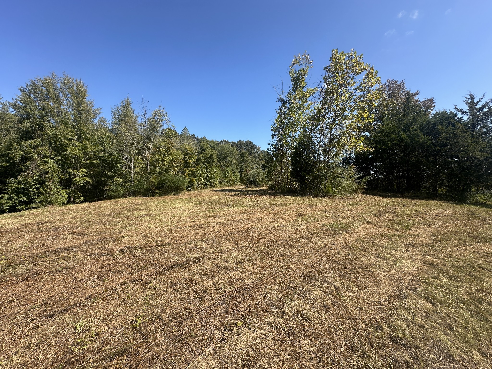 1885 Griffintown Road Sparta, TN 38583 - Photo 7 of 13 a view of a yard with a tree