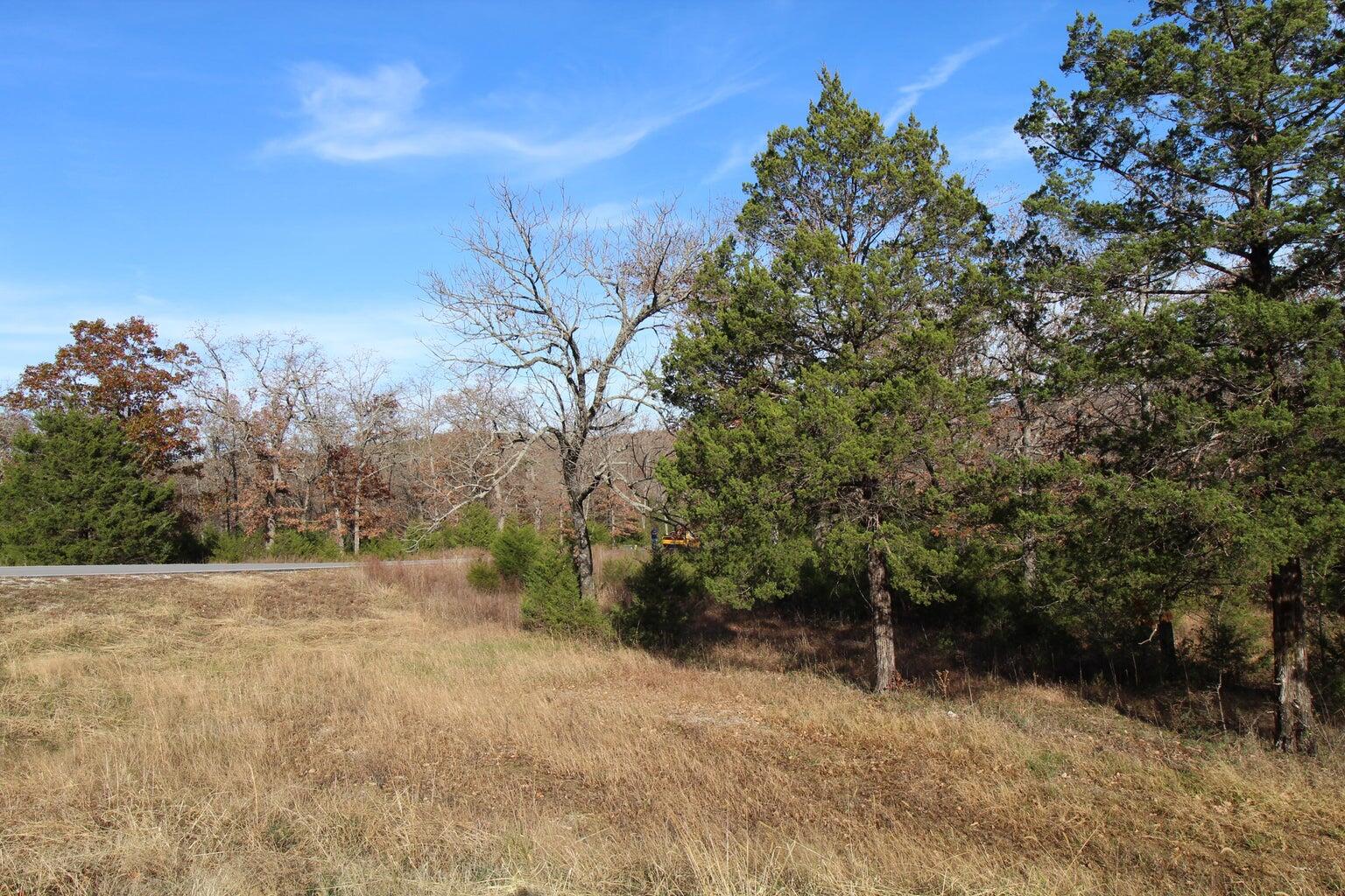 199 Forest Lake Drive Reeds Spring, MO 65737 - Photo 4 of 11 20221110002922141832000000-o