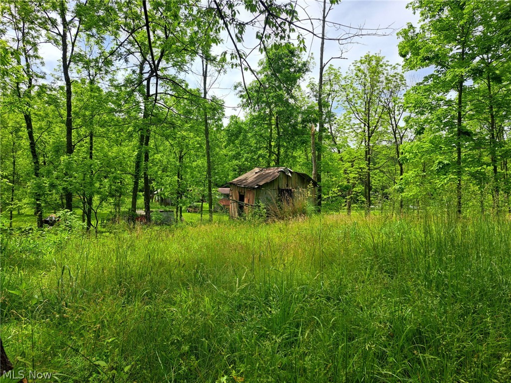 59208 Trail Run Road Byesville, OH 43723 - Photo 15 of 18