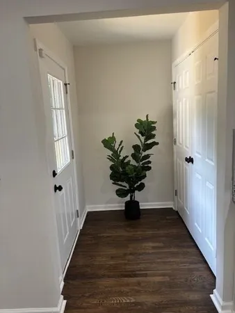 a view of a hallway with wooden floor and a potted plant