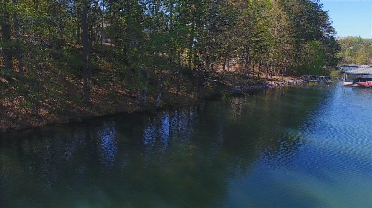 Lot 37 Pointe Harbor Seneca, SC 29672 - Photo 11 of 50 Gallery Image 11